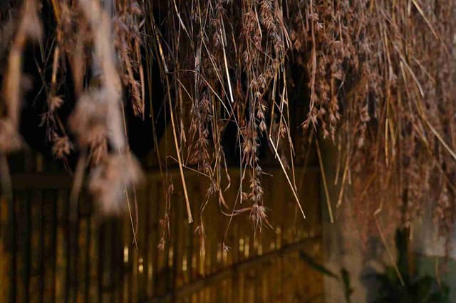 Bamboo shelter retreat